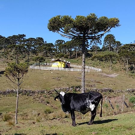Casa E Cabana De Campo Fazenda Borba ウルビシ エクステリア 写真