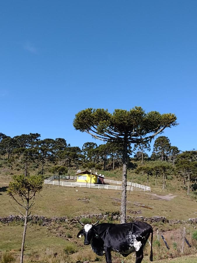 Casa E Cabana De Campo Fazenda Borba ウルビシ エクステリア 写真