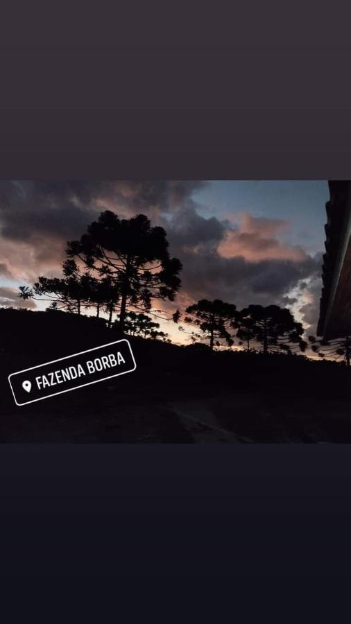 Casa E Cabana De Campo Fazenda Borba ウルビシ エクステリア 写真
