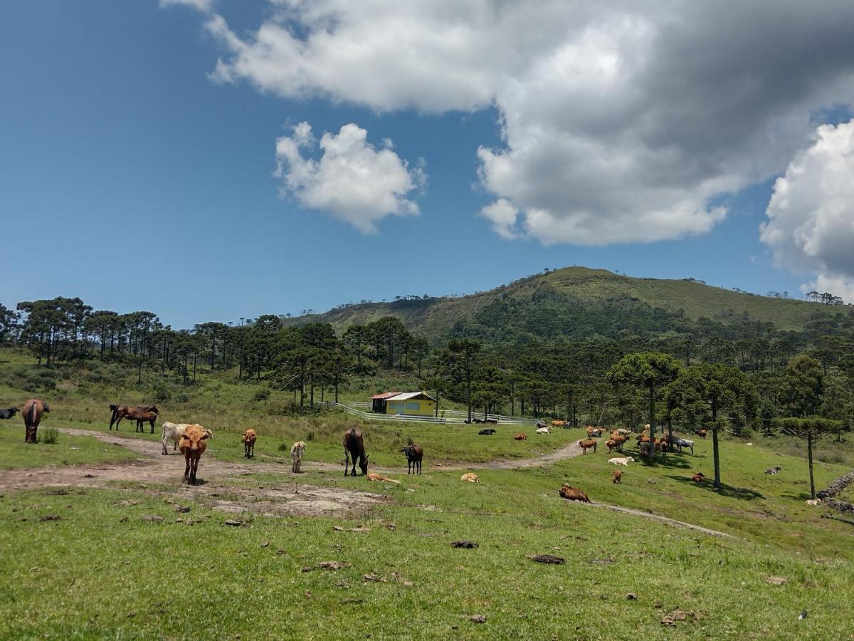 Casa E Cabana De Campo Fazenda Borba ウルビシ エクステリア 写真
