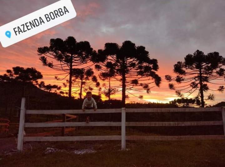 Casa E Cabana De Campo Fazenda Borba ウルビシ エクステリア 写真