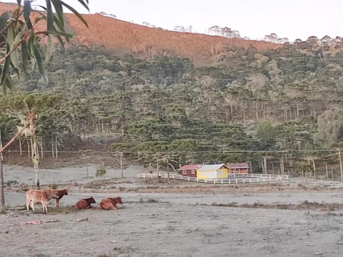 Casa E Cabana De Campo Fazenda Borba ウルビシ エクステリア 写真