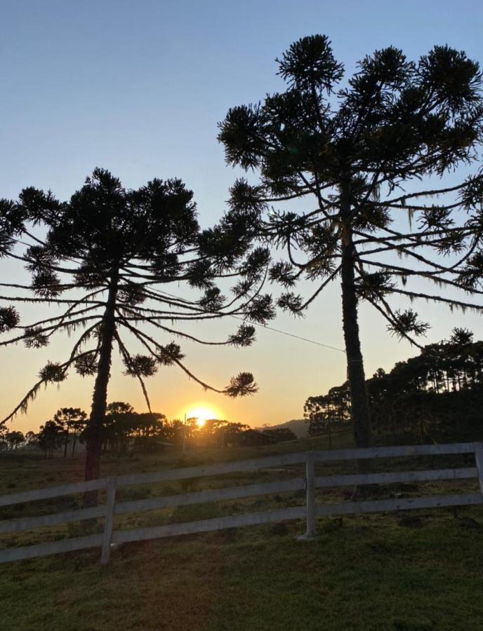 Casa E Cabana De Campo Fazenda Borba ウルビシ エクステリア 写真