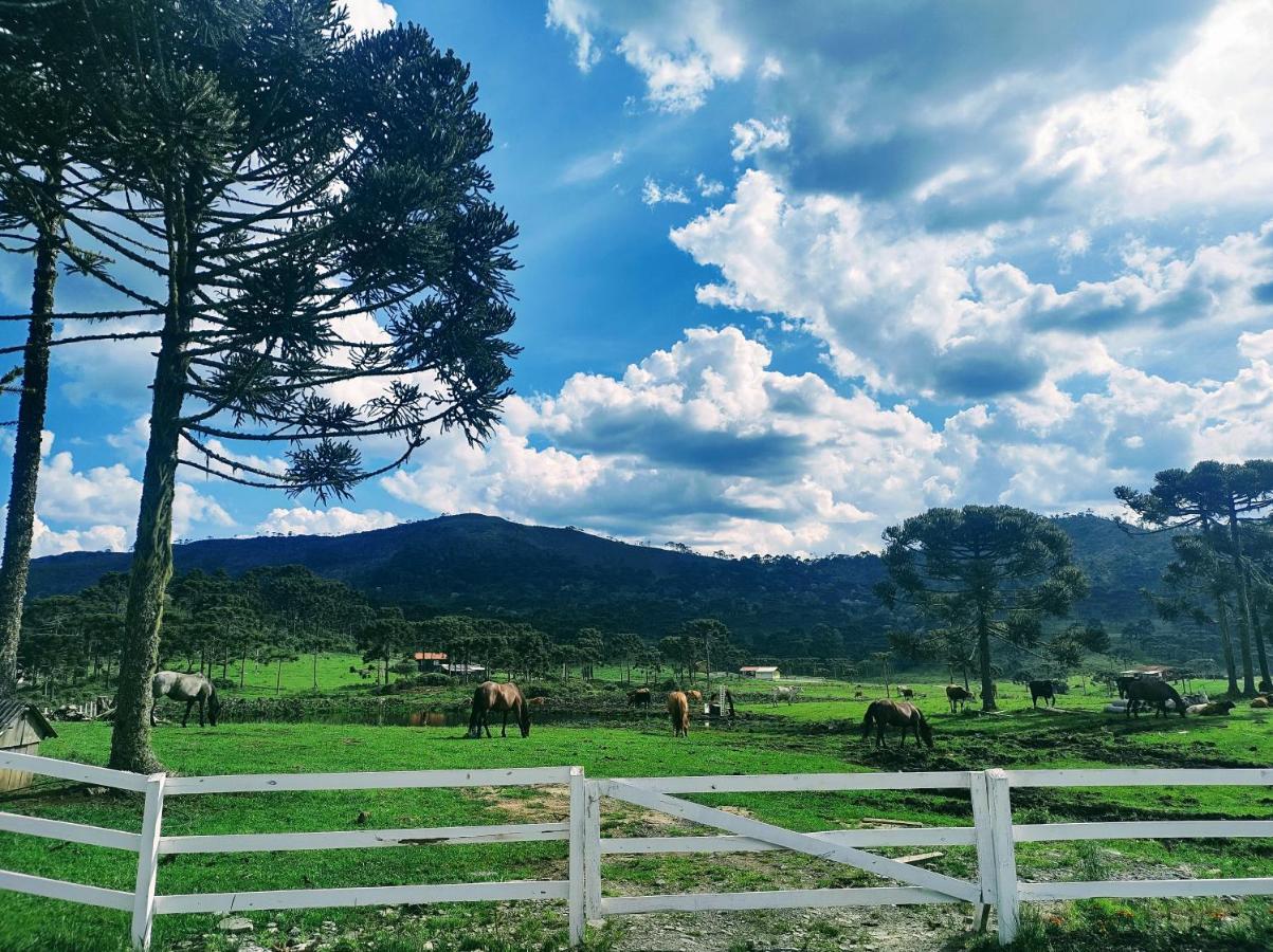 Casa E Cabana De Campo Fazenda Borba ウルビシ エクステリア 写真