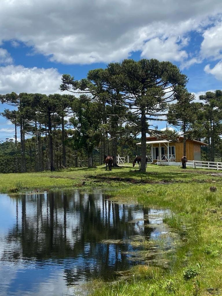 Casa E Cabana De Campo Fazenda Borba ウルビシ エクステリア 写真