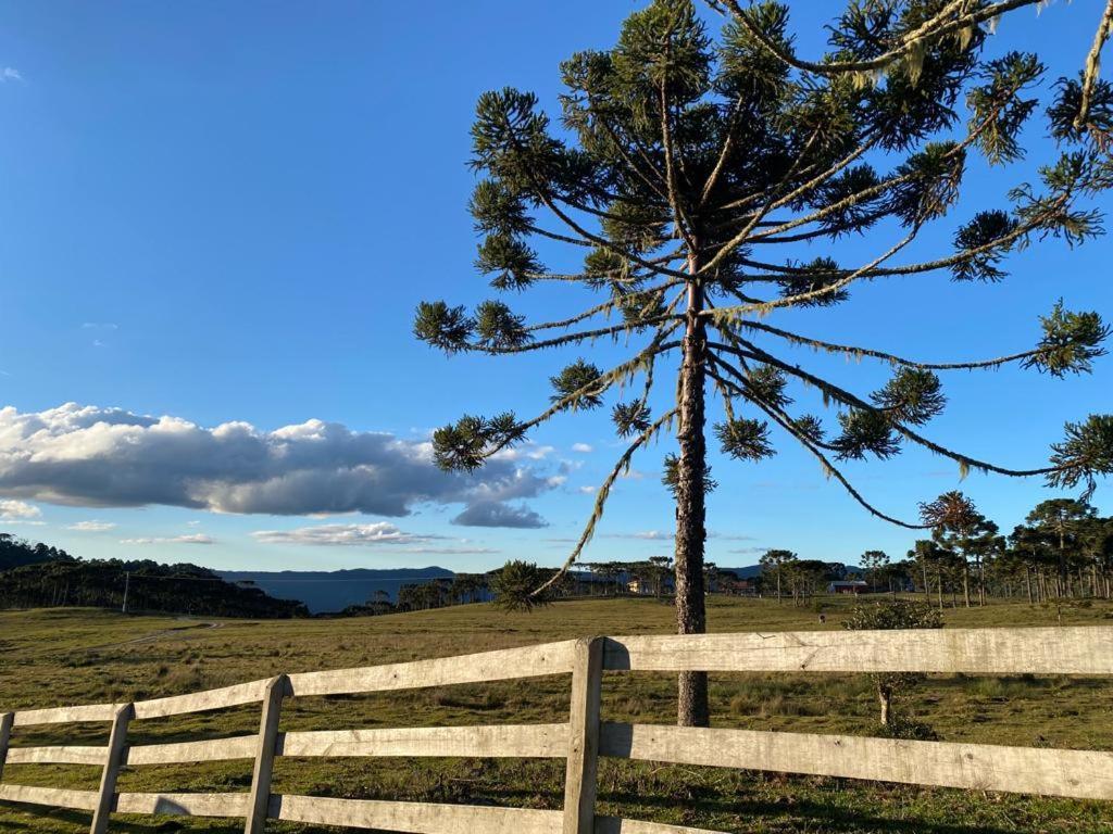 Casa E Cabana De Campo Fazenda Borba ウルビシ 部屋 写真