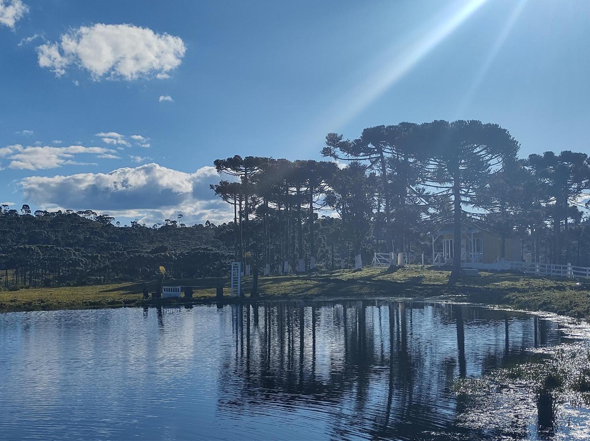 Casa E Cabana De Campo Fazenda Borba ウルビシ 部屋 写真