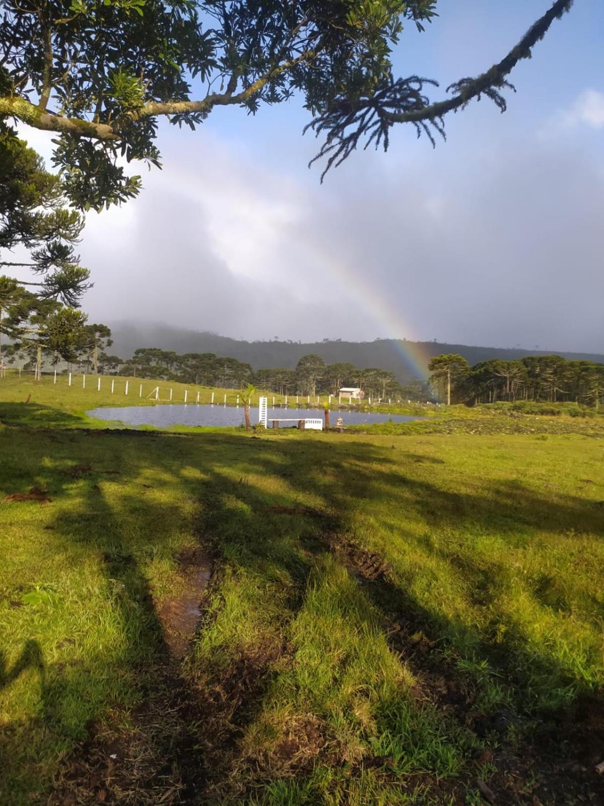 Casa E Cabana De Campo Fazenda Borba ウルビシ 部屋 写真