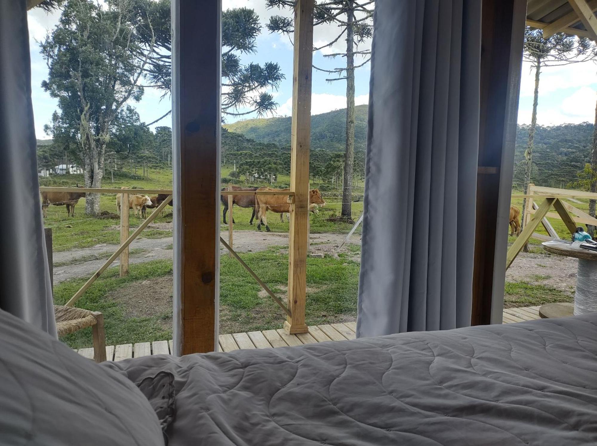 Casa E Cabana De Campo Fazenda Borba ウルビシ 部屋 写真