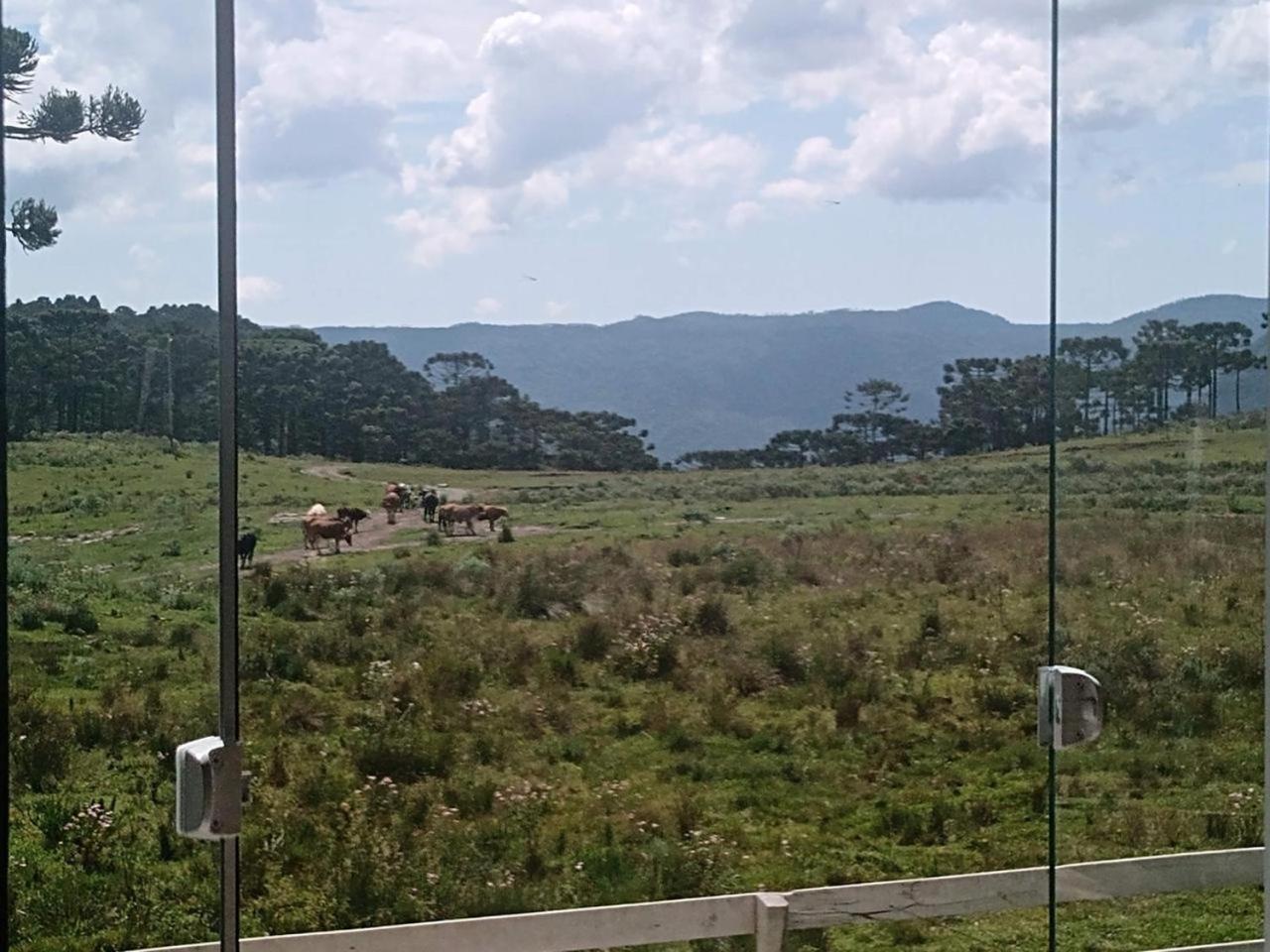 Casa E Cabana De Campo Fazenda Borba ウルビシ エクステリア 写真