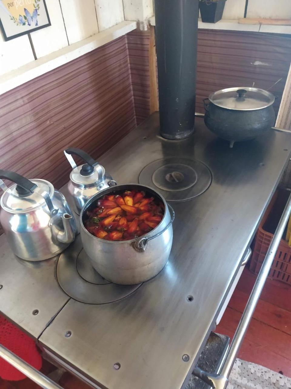 Casa E Cabana De Campo Fazenda Borba ウルビシ エクステリア 写真