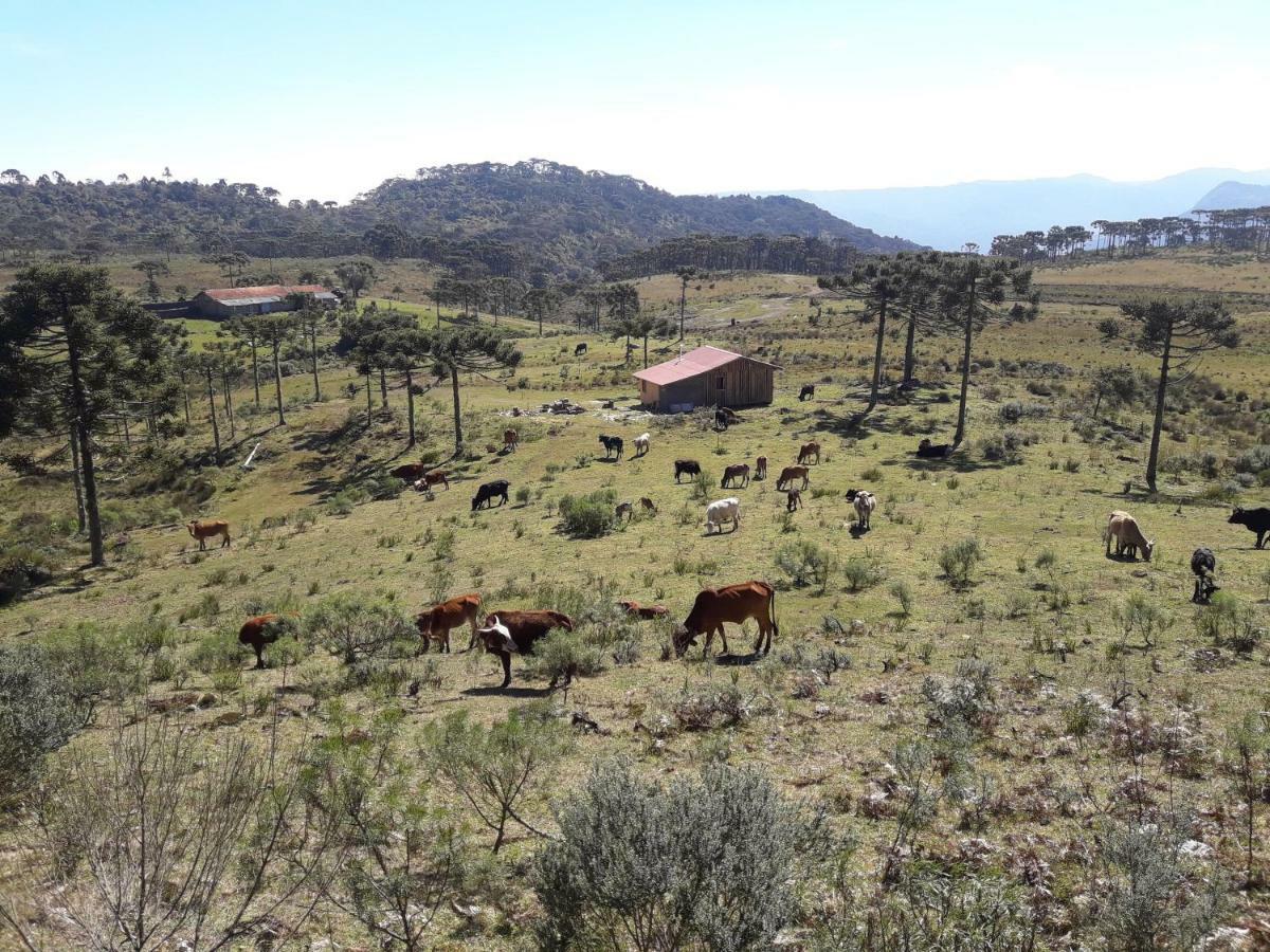 Casa E Cabana De Campo Fazenda Borba ウルビシ エクステリア 写真